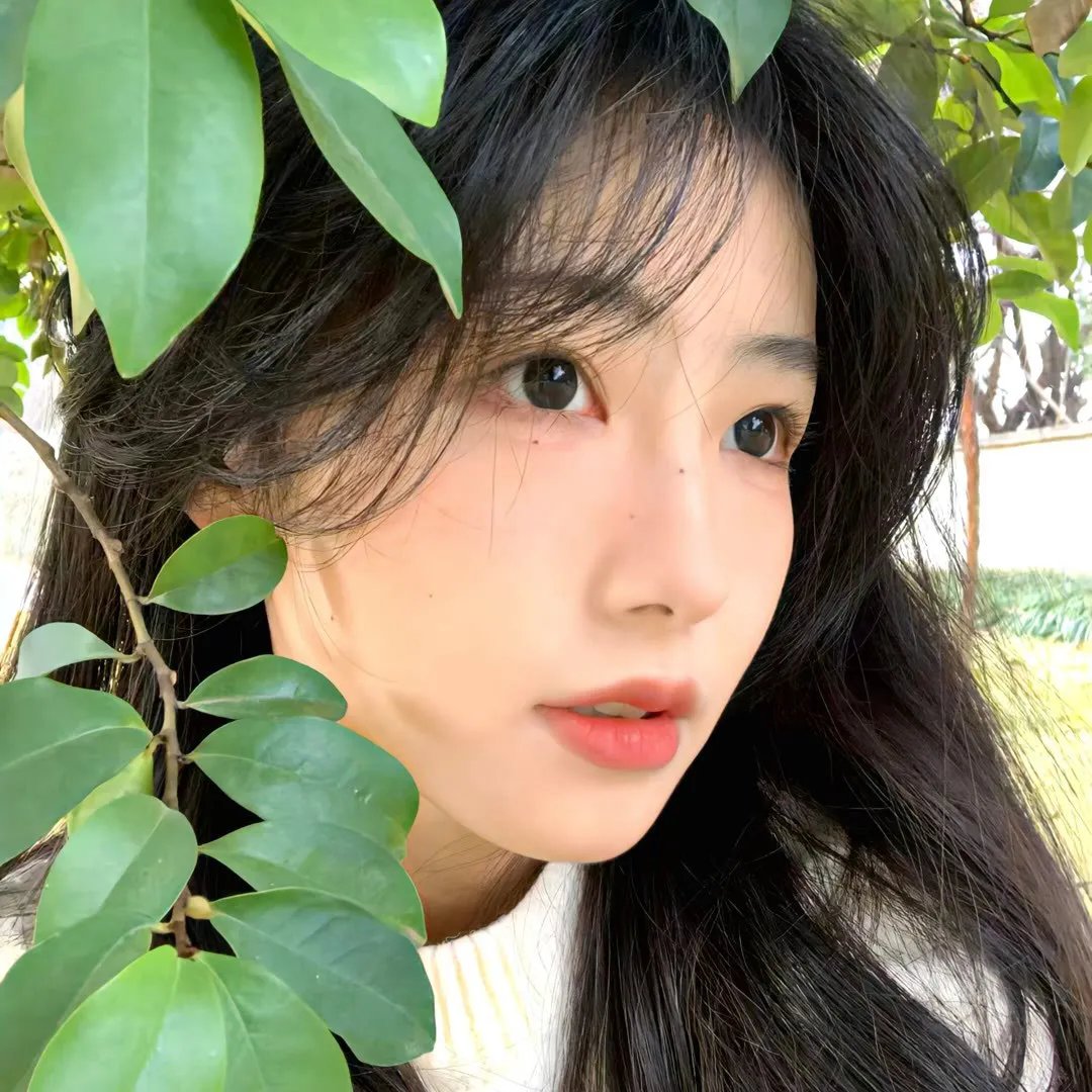 我不是精英